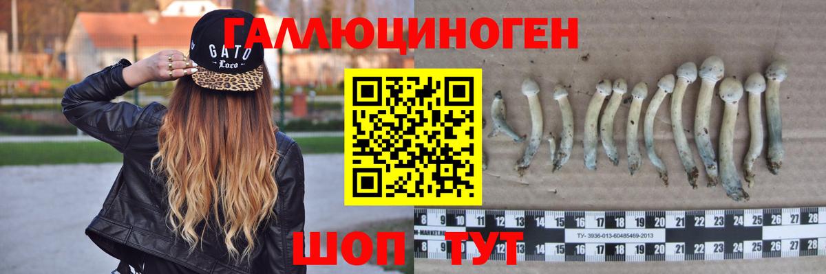 Галлюциногенные грибы MAGIC MUSHROOMS Елец