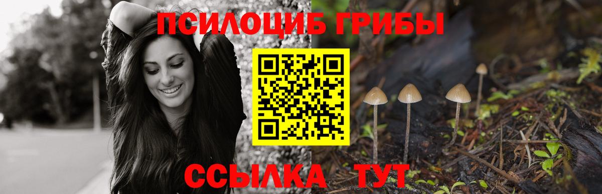 Псилоцибиновые грибы GOLDEN TEACHER  купить наркоту  Вход с VPN  Елец  Псилоцибиновые грибы Cubensis 